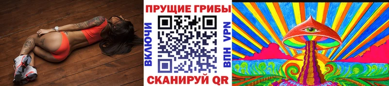 что такое наркотик  гидра ССЫЛКА  Псилоцибиновые грибы мухоморы  Белокуриха 